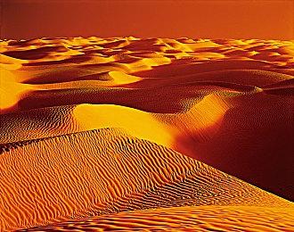 《黑色洛城》和《恶霸鲁尼》将加入GTA+游戏库 会员免费畅玩